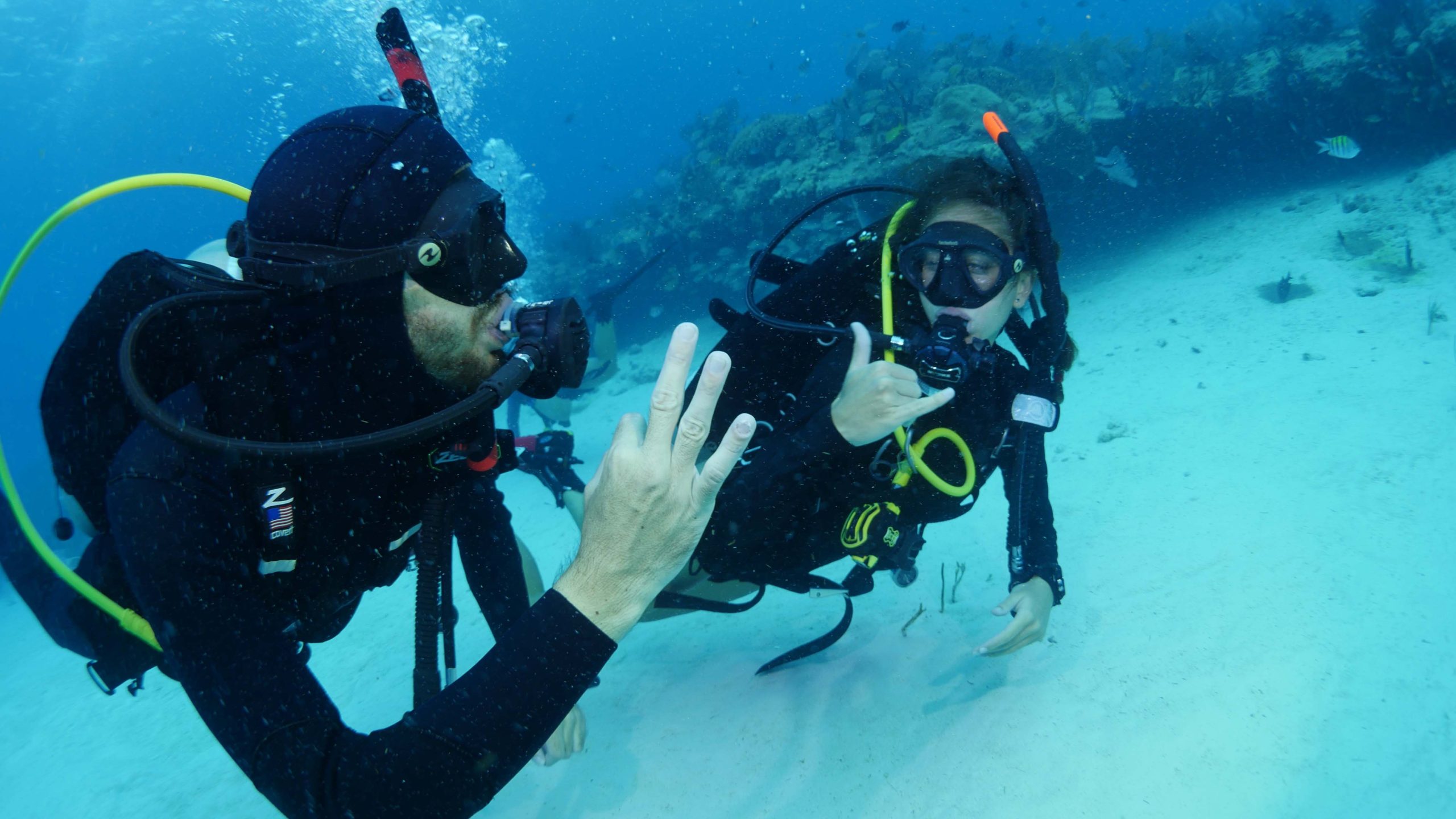 SDI-Divers-OK-Photo